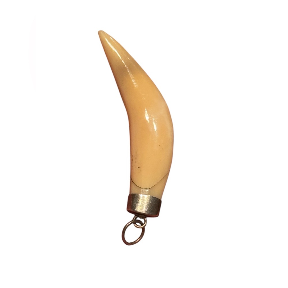 Vintage Silver Ivory  Tiger? Tooth Pendant